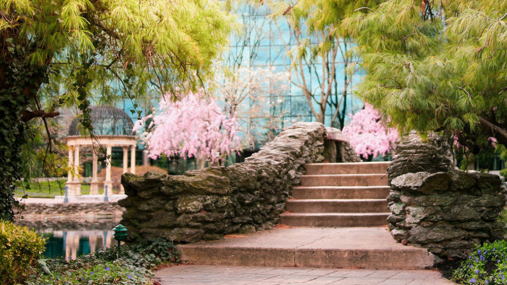 Salus University campus