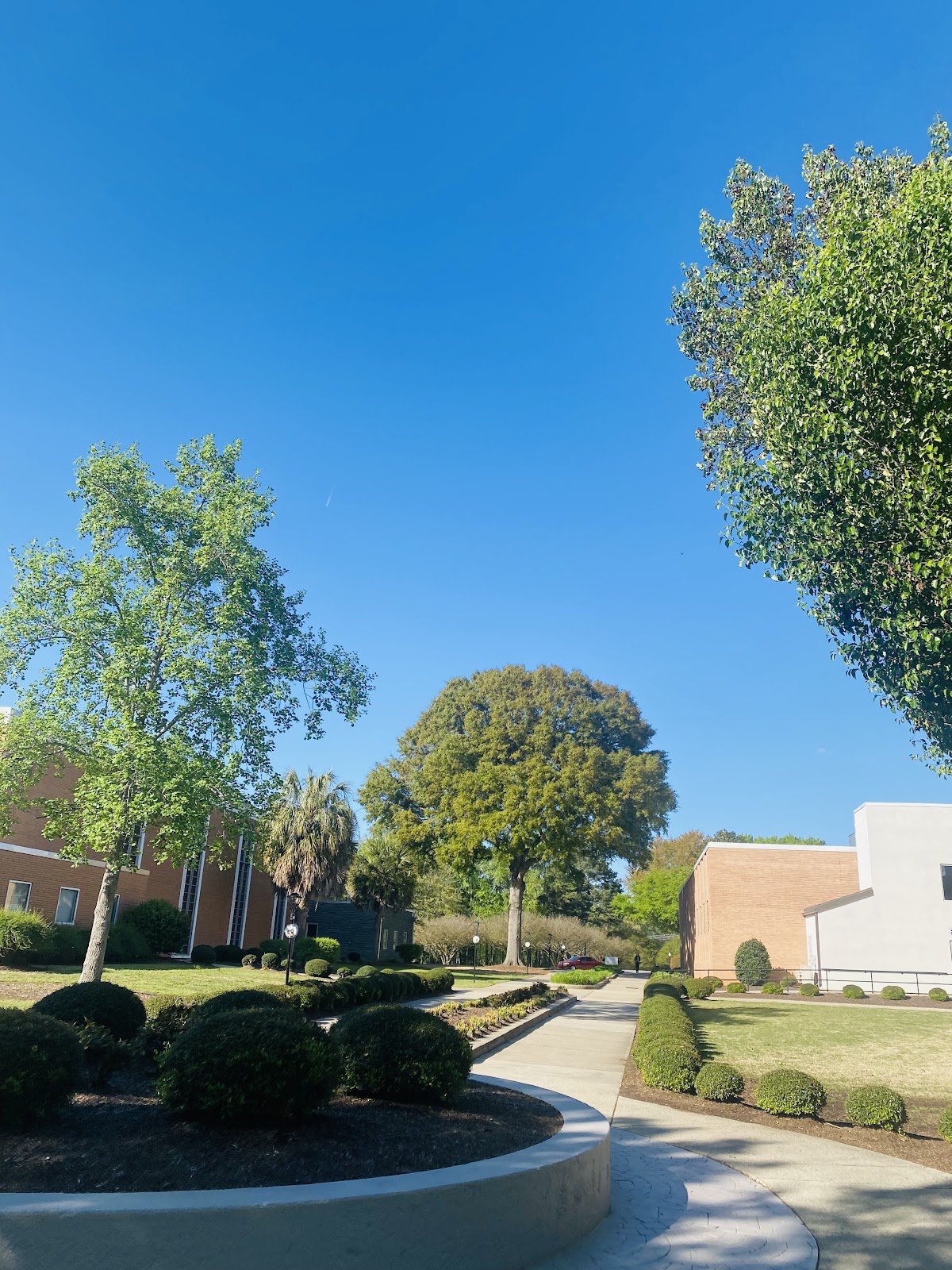 Columbia International University campus