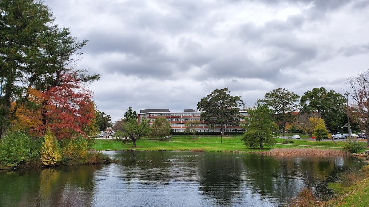 University of Connecticut campus