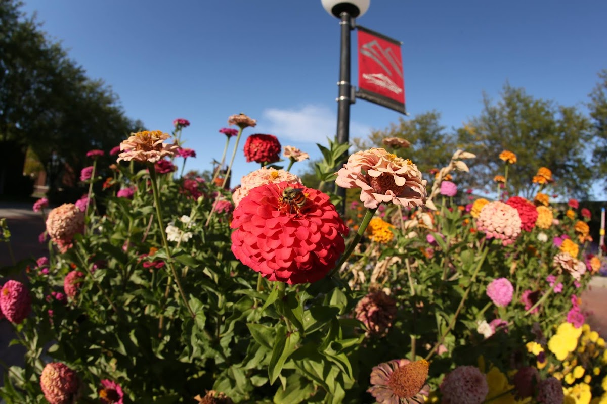 Northwest College campus