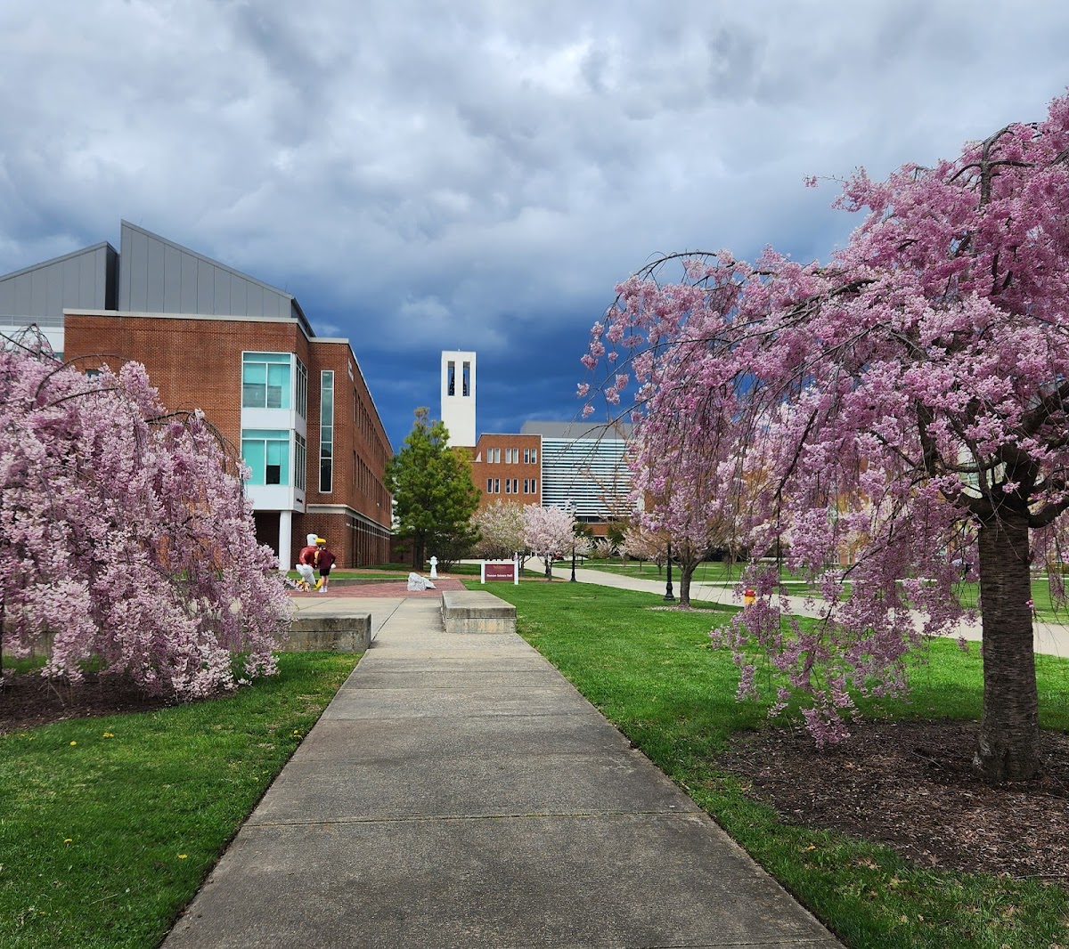 Salisbury University campus