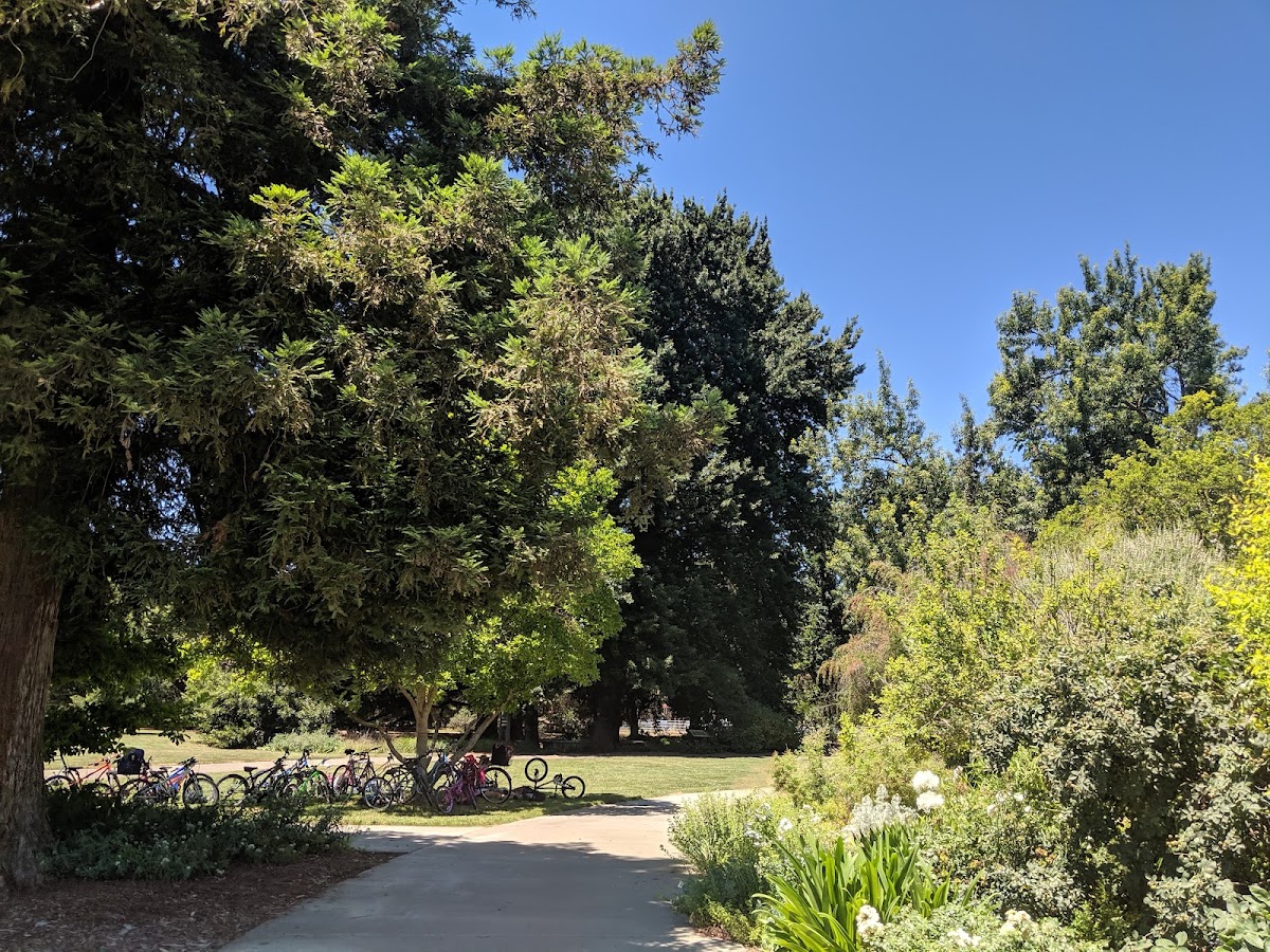University of California-Davis campus