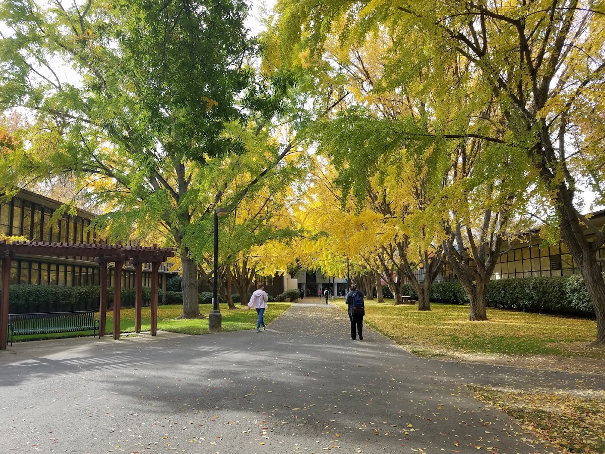 California State University-Sacramento campus