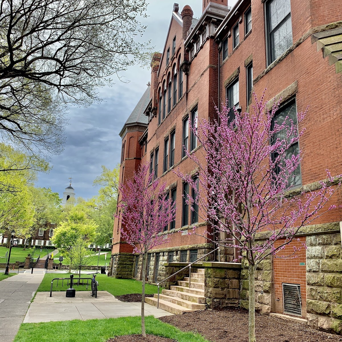 Rutgers University-New Brunswick campus