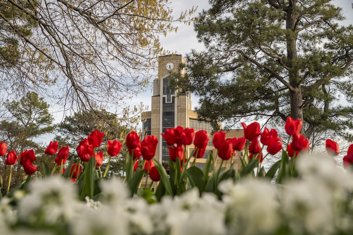 Arkansas State University campus