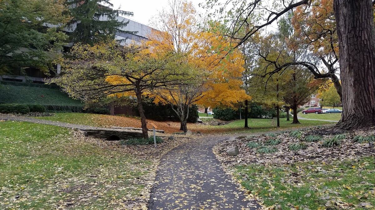 Anderson University campus