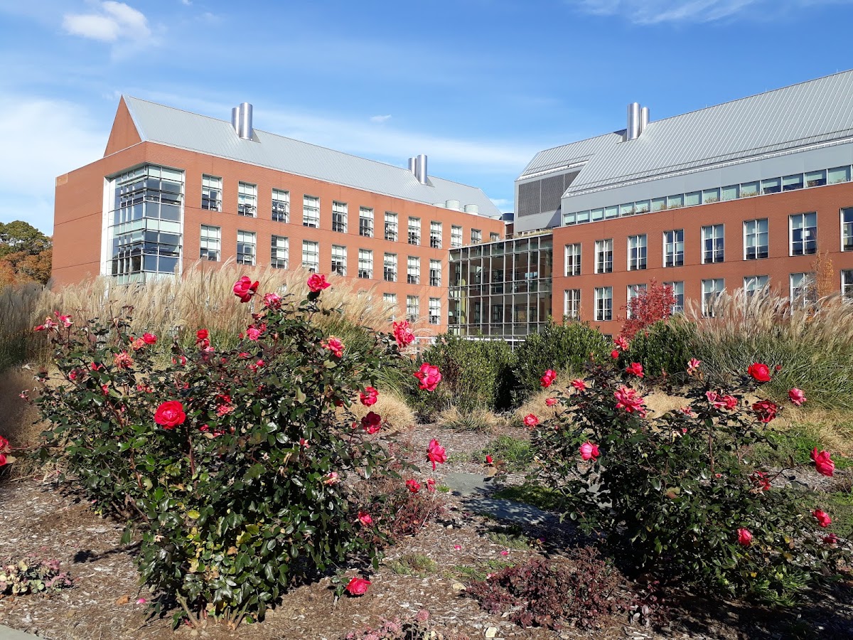 University of Rhode Island campus