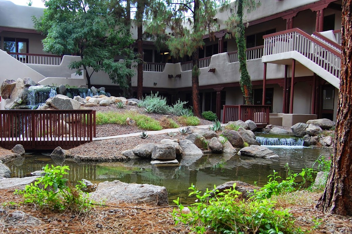 Phoenix Institute of Herbal Medicine & Acupuncture campus