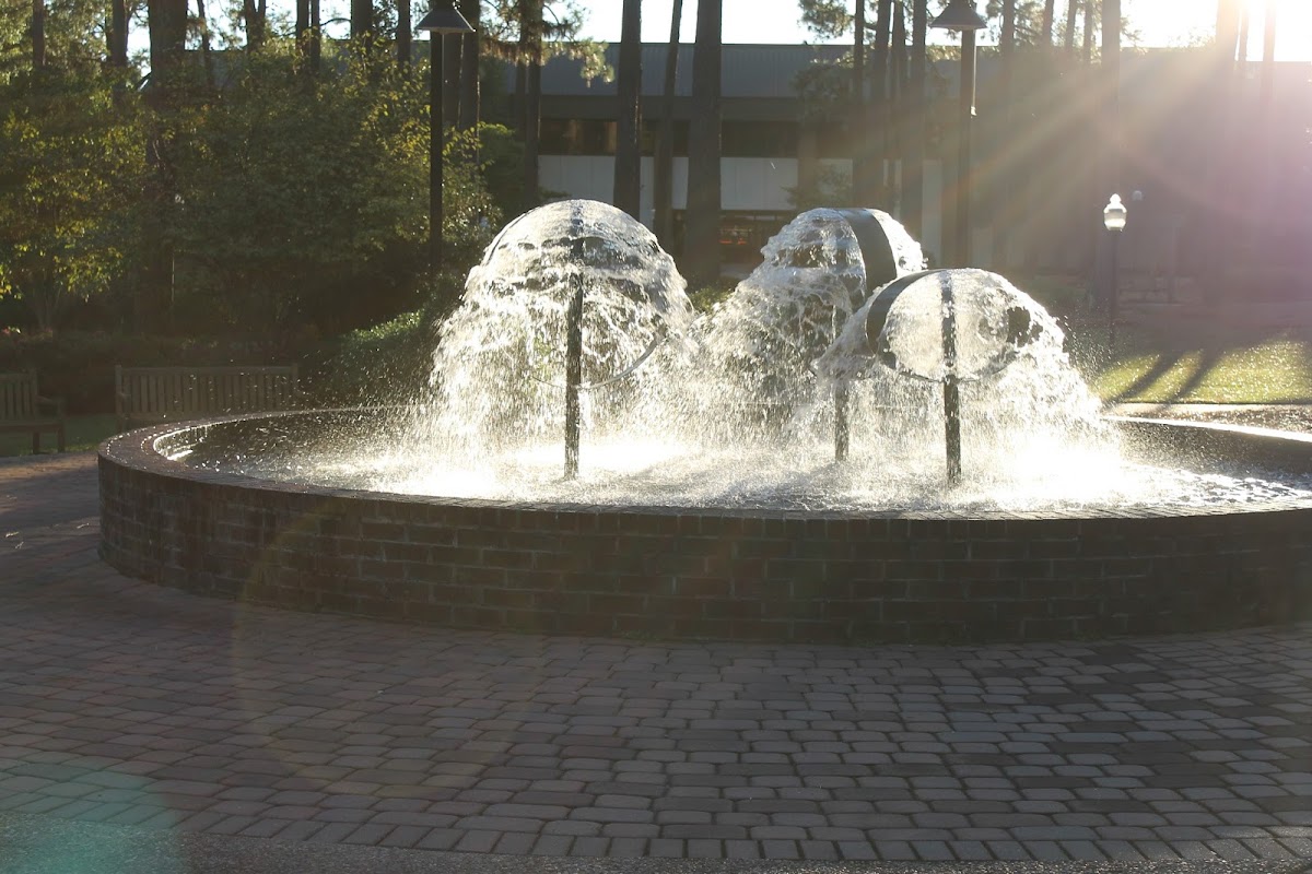 University of South Carolina Aiken campus