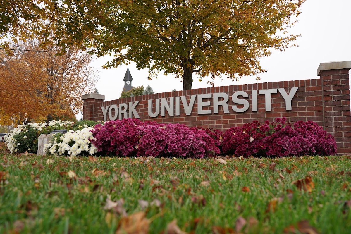 York University campus