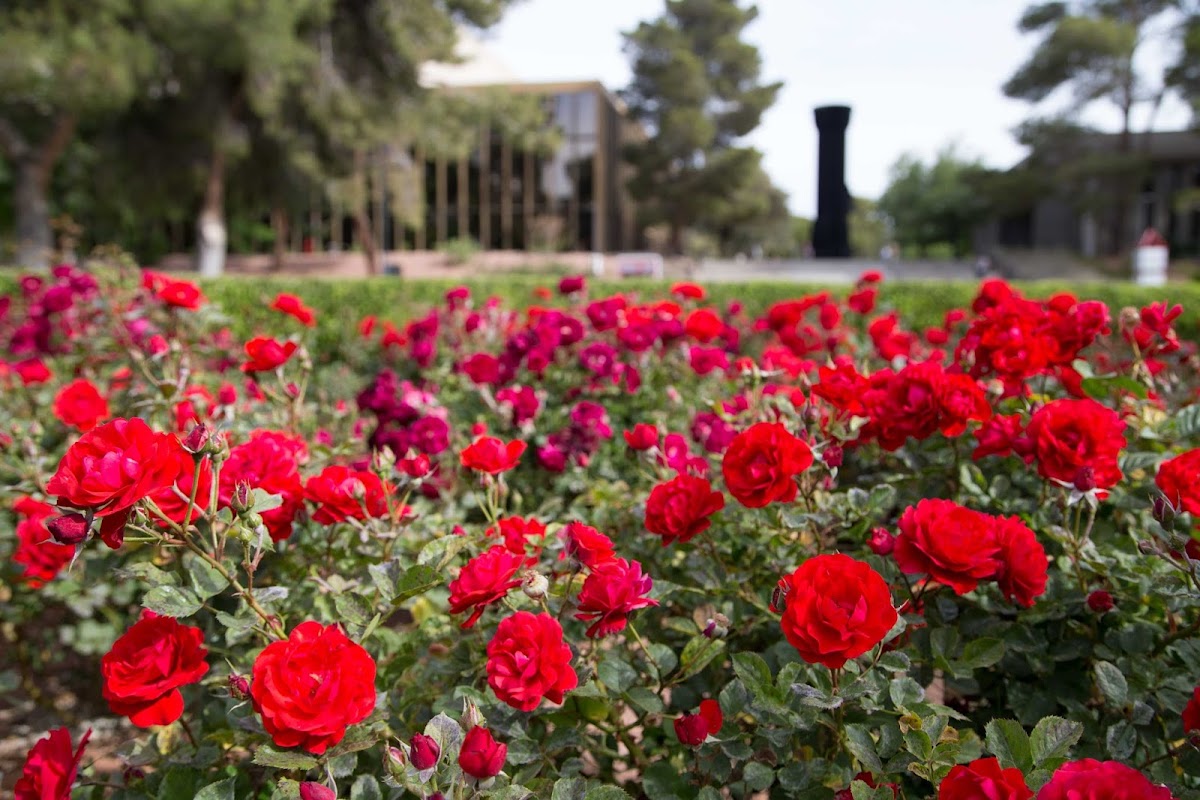 University of Nevada-Las Vegas campus