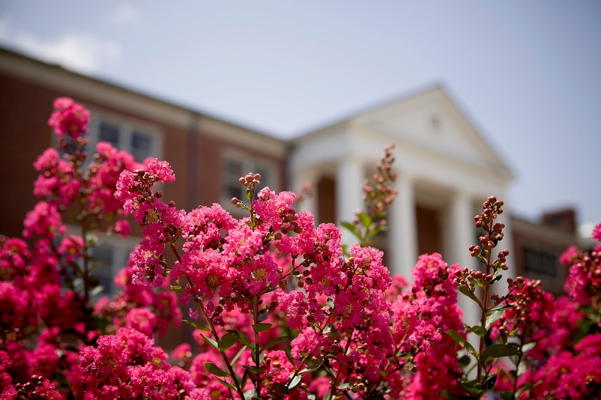 The University of Tennessee-Martin campus