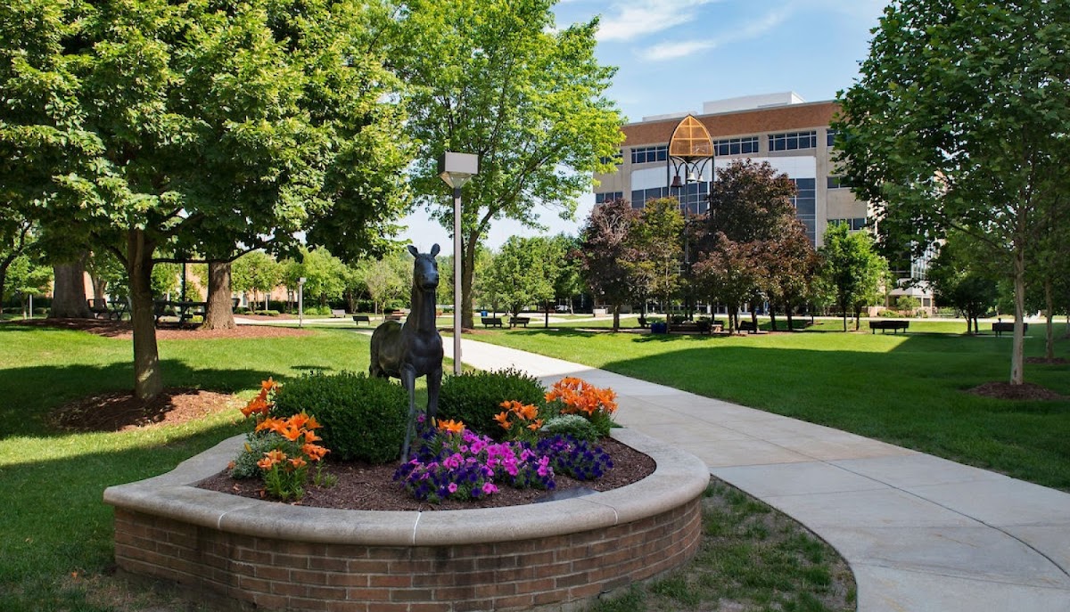 Midwestern University-Downers Grove campus