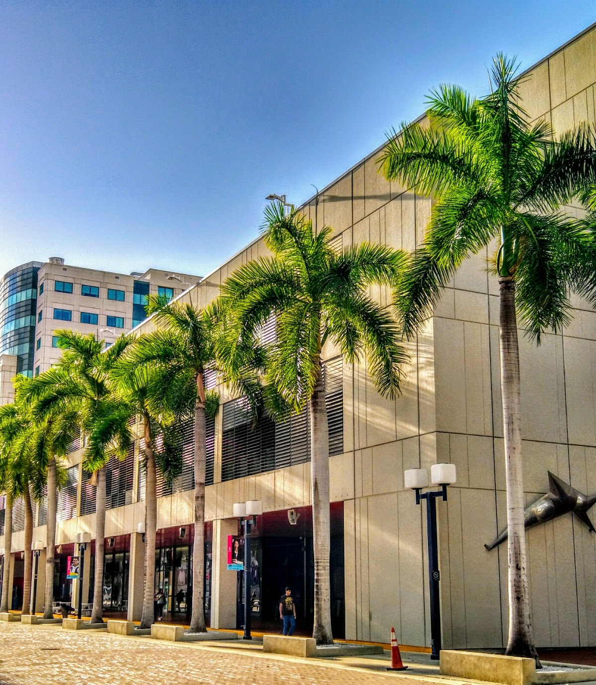 Miami Dade College campus
